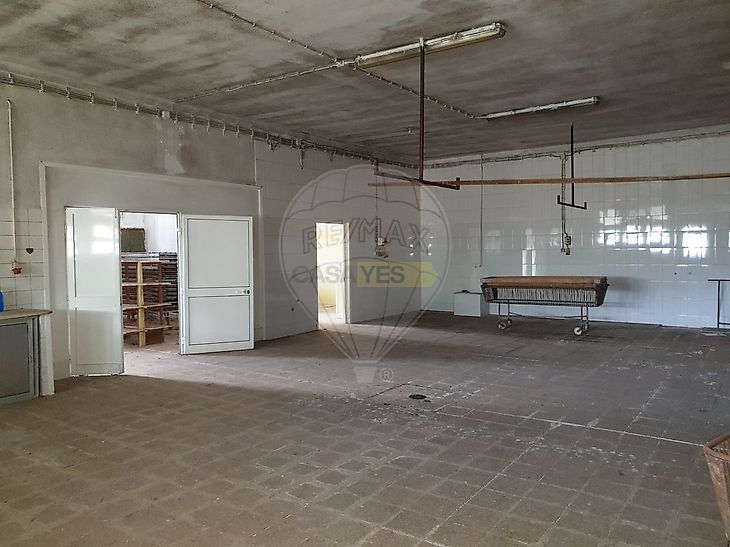main-listing-picture-0