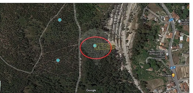 main-listing-picture-0