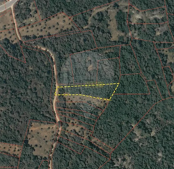 main-listing-picture-0