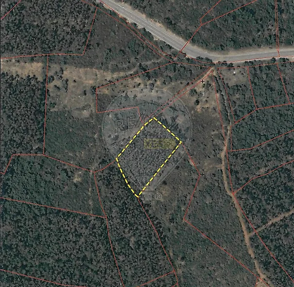 main-listing-picture-0