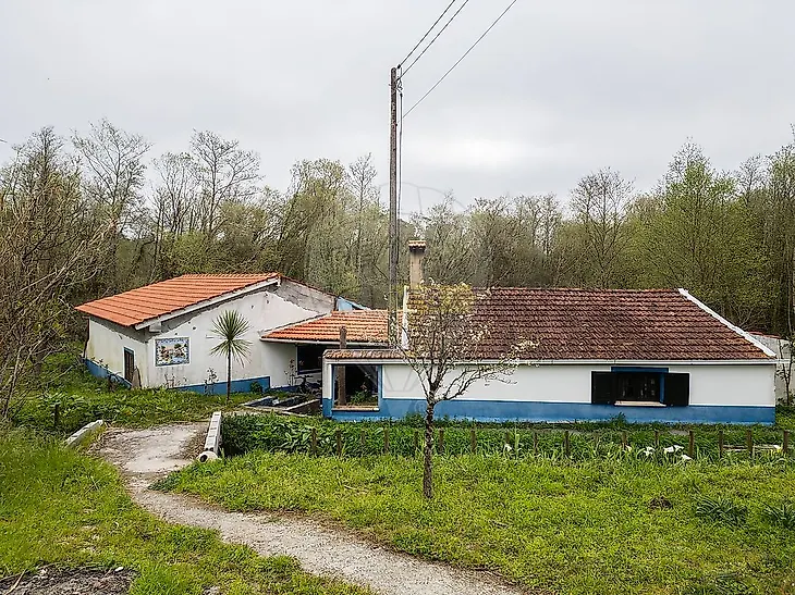 main-listing-picture-0