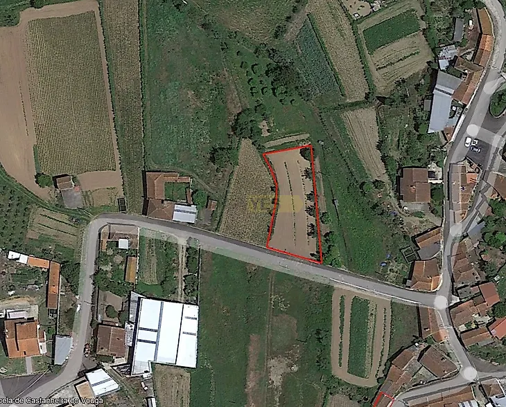 main-listing-picture-0
