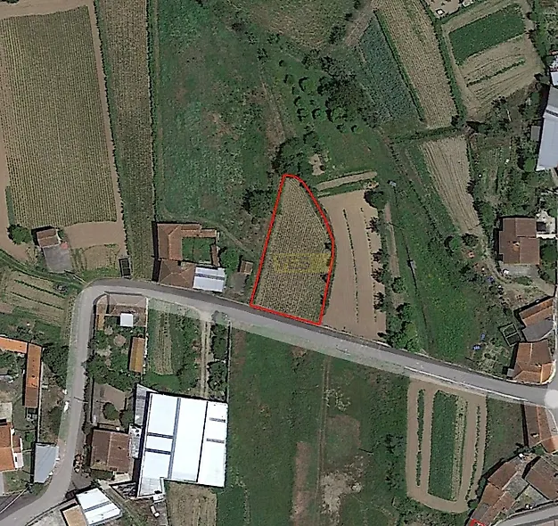 main-listing-picture-0