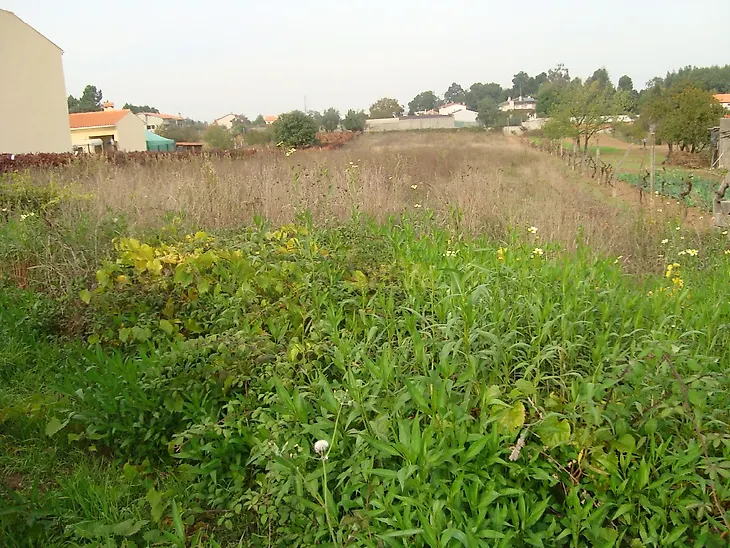 main-listing-picture-0