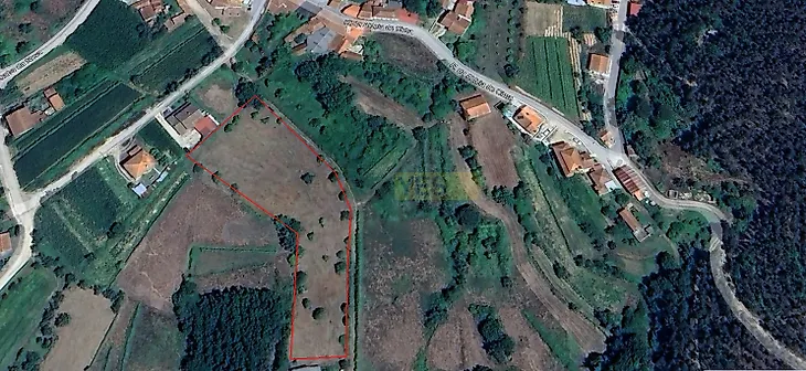 main-listing-picture-0