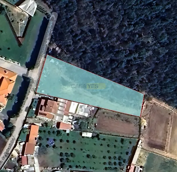 main-listing-picture-0