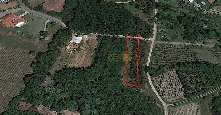 main-listing-picture-0