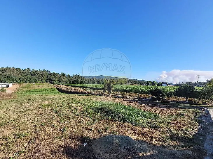 main-listing-picture-0