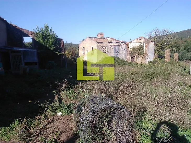 main-listing-picture-0
