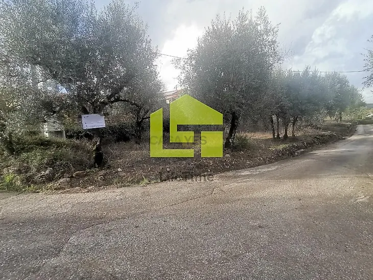 main-listing-picture-0