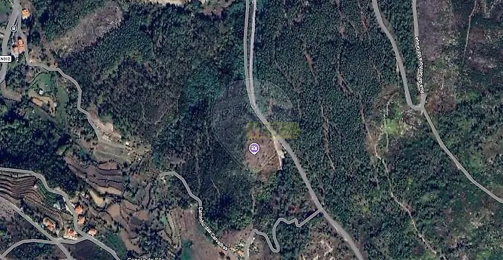 main-listing-picture-0