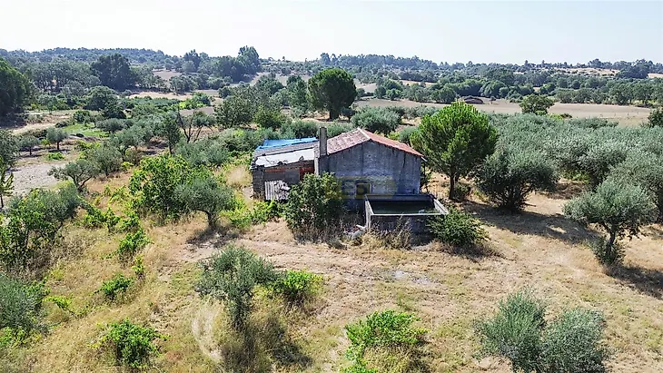 main-listing-picture-0
