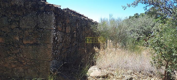 main-listing-picture-0