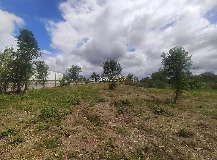 main-listing-picture-0