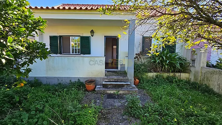 main-listing-picture-0