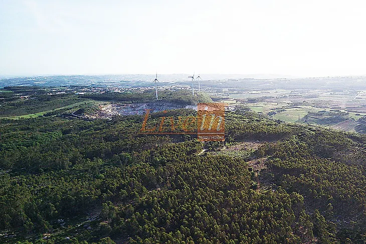 main-listing-picture-0