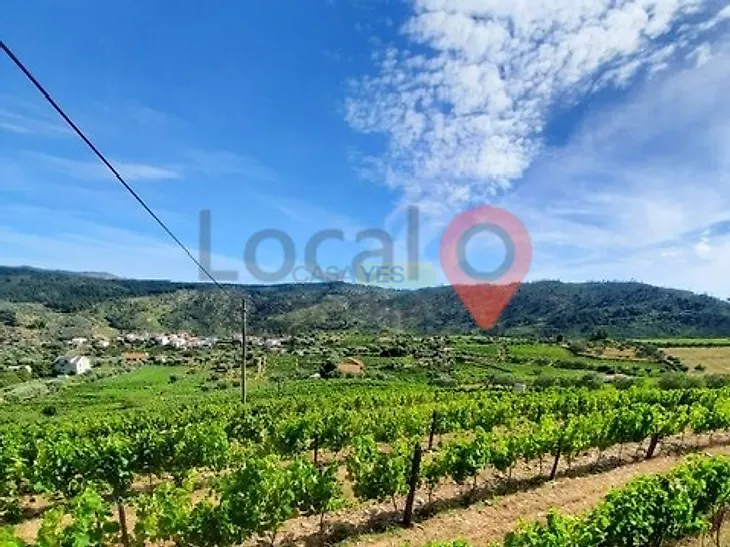 main-listing-picture-0