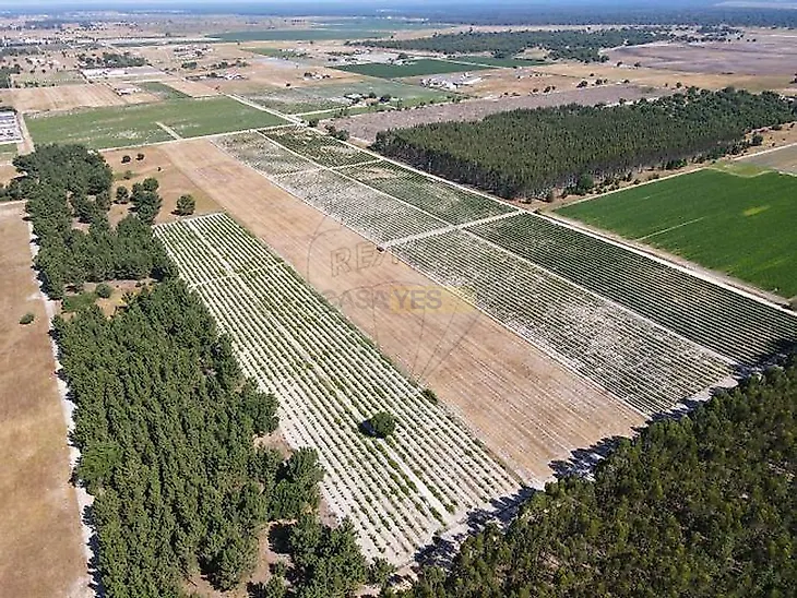 main-listing-picture-0