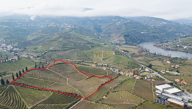 main-listing-picture-0