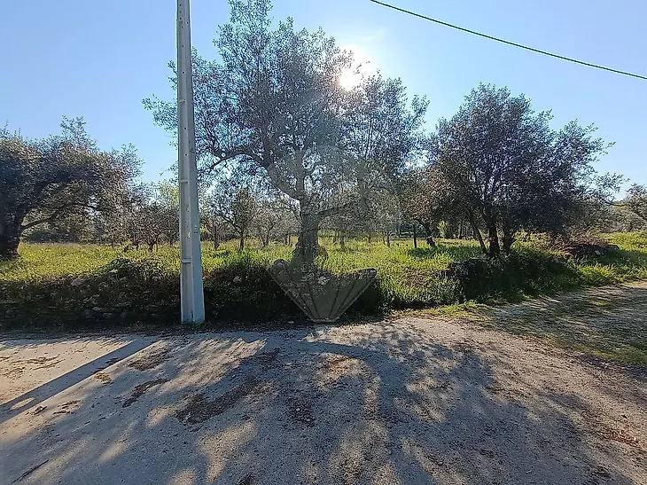 main-listing-picture-0