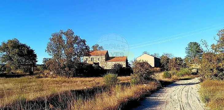 main-listing-picture-0