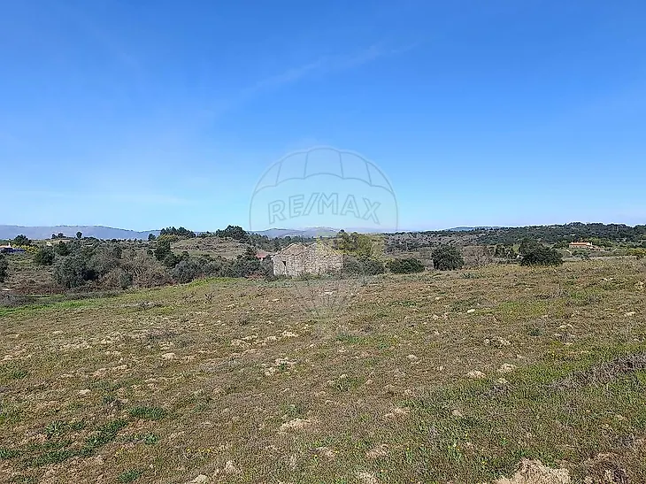 main-listing-picture-0