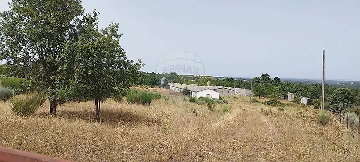 main-listing-picture-0