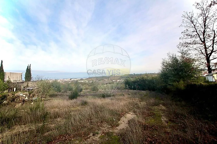 main-listing-picture-0