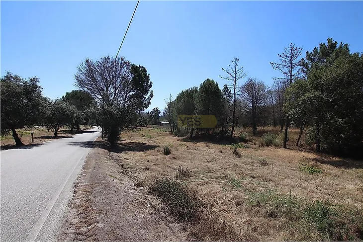 main-listing-picture-0