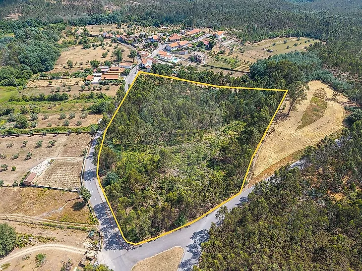 main-listing-picture-0
