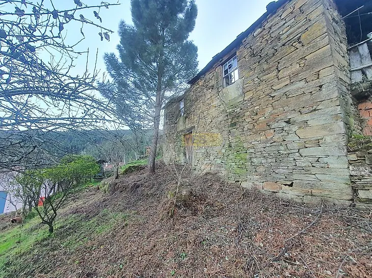 main-listing-picture-0