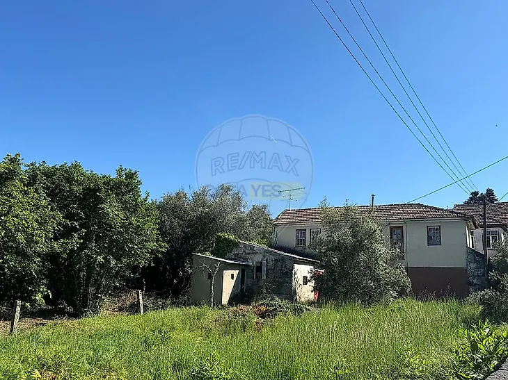 main-listing-picture-0