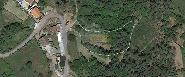 main-listing-picture-0
