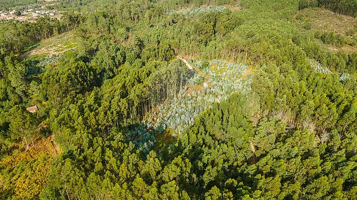 main-listing-picture-0