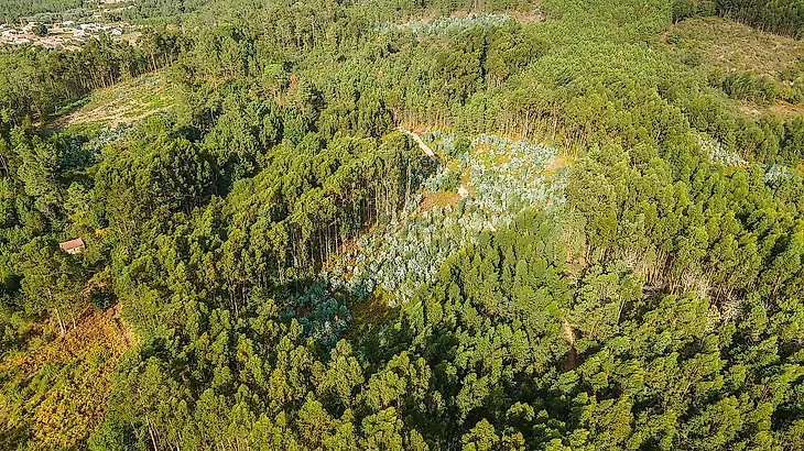 main-listing-picture-0