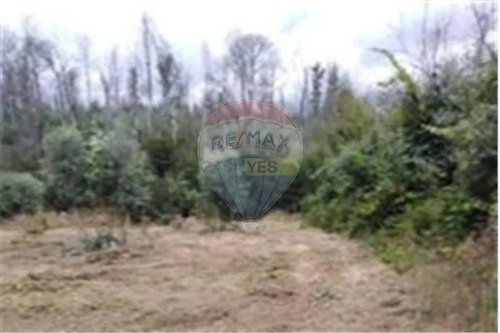 main-listing-picture-0