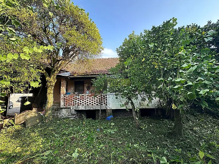 main-listing-picture-0