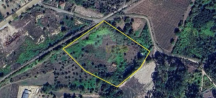 main-listing-picture-0