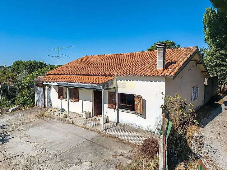 main-listing-picture-0