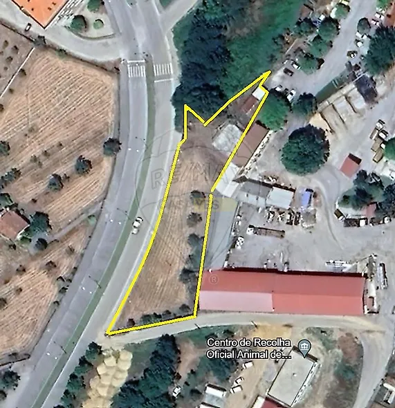 main-listing-picture-0