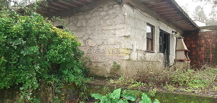 main-listing-picture-0