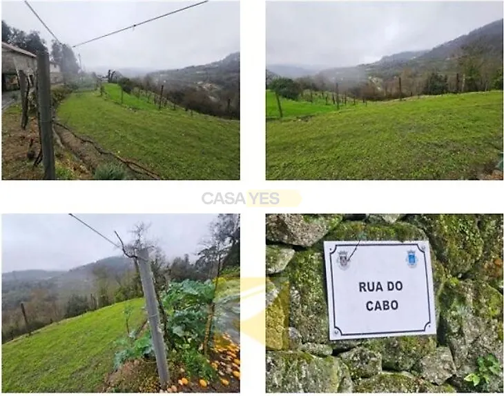main-listing-picture-0