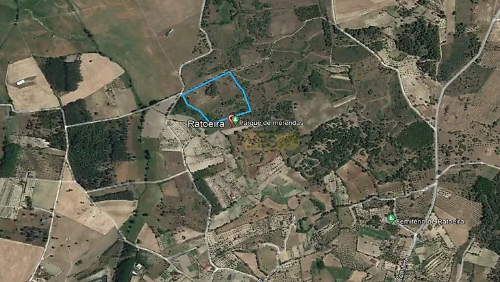 main-listing-picture-0