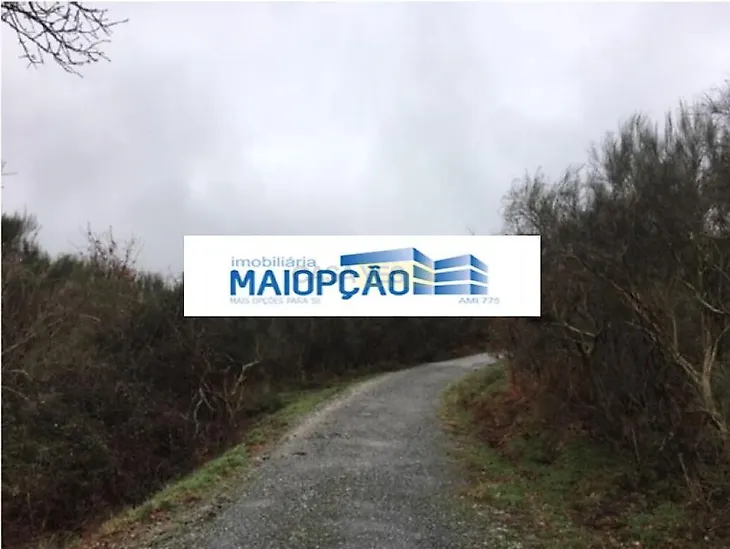 main-listing-picture-0