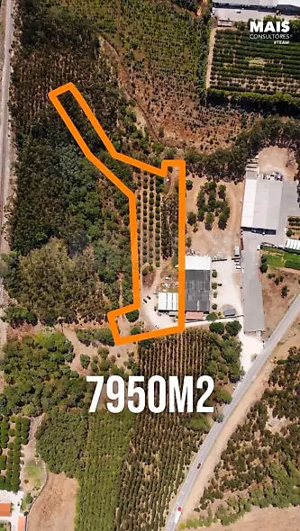 main-listing-picture-0