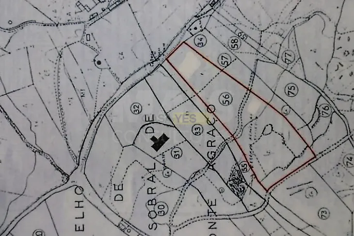 main-listing-picture-0
