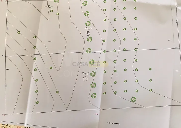 main-listing-picture-0