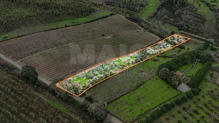 main-listing-picture-0
