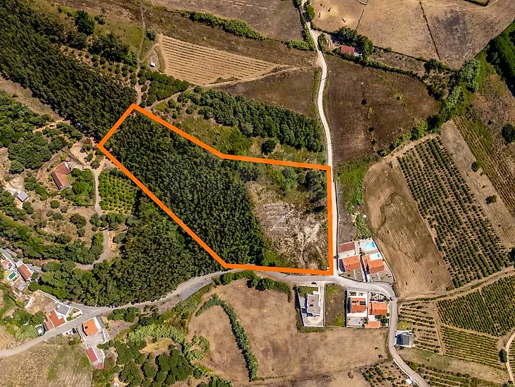main-listing-picture-0