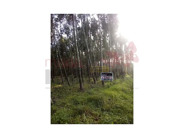 main-listing-picture-0